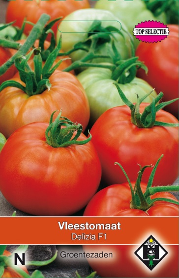 Tomate Delizia F1 (Solanum) 40 Samen